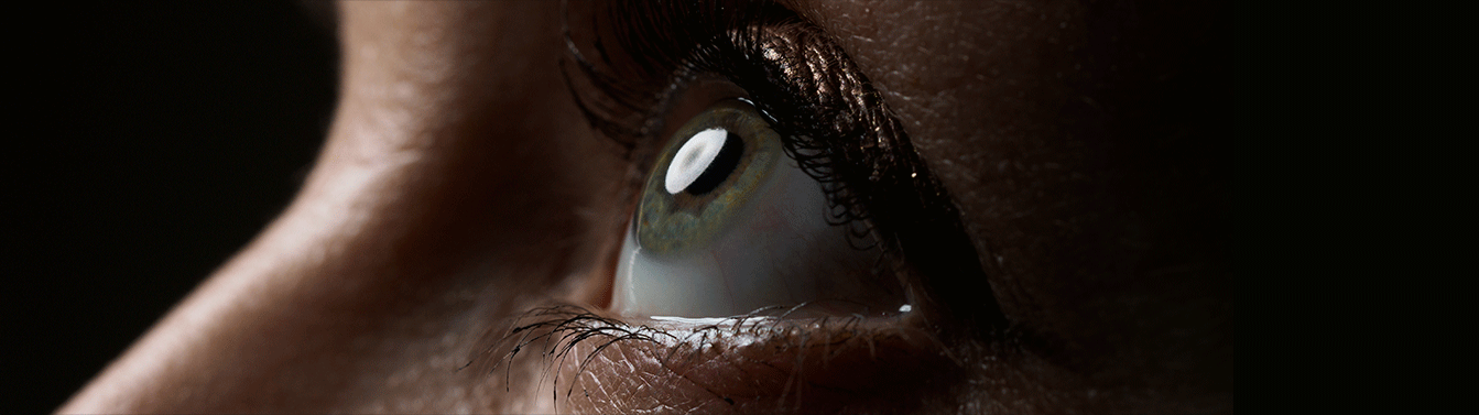 TBH_Activities_Vision1343x377_1