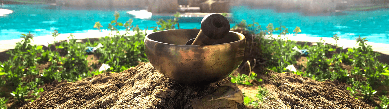 TBH_Training_Ayurveda1_1343x377-1