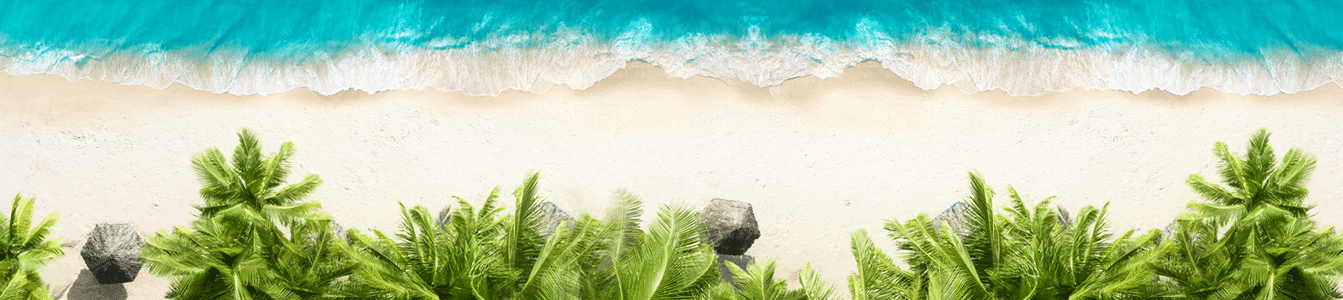 TBH_Transform_SafeHeaven-2Sliders1343x300