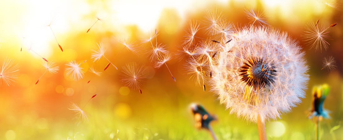 Mind-Body-Healing-1.jpg