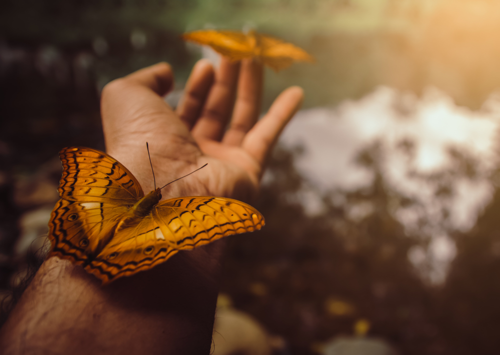 Dry January Health Benefits