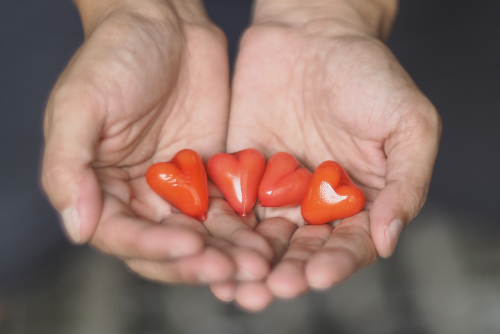 Holistic Journey to Mind-Body